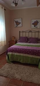 a bedroom with a bed with purple sheets and a rug at Apartamento Carmen en Muxía in Muxia