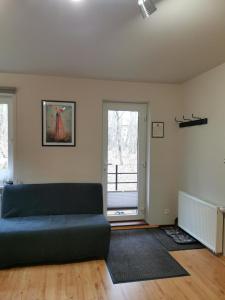 salon z kanapą i oknem w obiekcie W Starym Sadzie w mieście Owińska