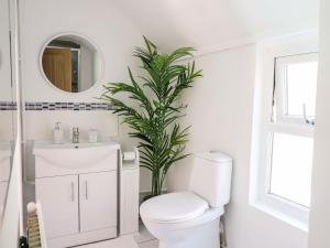 a bathroom with a toilet and a plant in it at Lane Cottage in Cardigan +25 photos