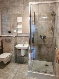 a bathroom with a shower and a toilet and a sink at W Starym Sadzie in Owińska