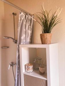 a white shelf with a plant on top of it at Ferienpark am Darß - Apartmenthaus 1 in Fuhlendorf