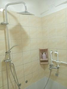 ein Bad mit einer Dusche und einem Seifenspender in der Unterkunft Apartman Vojka in Višegrad