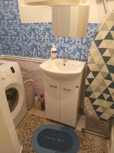 ein Badezimmer mit einem Waschbecken und einer Waschmaschine in der Unterkunft Apartman Vojka in Višegrad