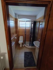 a bathroom with a shower and a toilet and a sink at Apartament - Stara Stajnia - Na krańcu Świata in Miłków