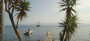 a boat is docked in the water with palm trees at Sailors Luxury Cottage in Agia Pelagia Chlomou +59 photos
