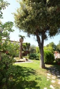 a tree in the yard of a house at CivicoNove in Piombino