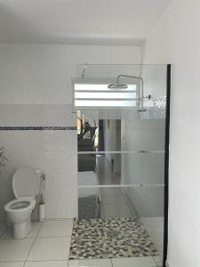 baño con aseo y puerta de ducha de cristal en L’Eucalyptus, en Sainte-Rose