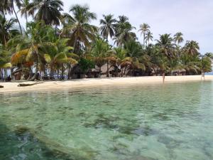 a beach with palm trees and the water at Mares gunayarIslas in Nusatupo