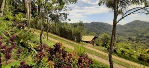 Φυσικό τοπίο κοντά σε αυτό το σαλέ