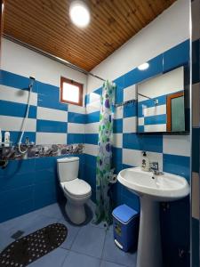 a blue and white bathroom with a toilet and a sink at Guesthouse Emiljano in Berat