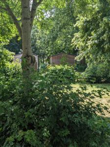 Zahrada ubytování Camping Onlycamp La Confluence