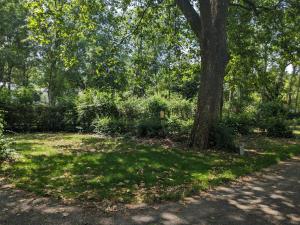 Zahrada ubytování Camping Onlycamp La Confluence