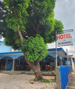 un hôtel avec un arbre devant un bâtiment dans l'établissement Hotel y Restaurante El Marino, à Santa Cruz