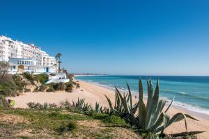 a view of a beach with a building at Vieira Azul in Armação de Pêra