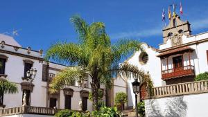 a palm tree in front of a building with a clock tower at LAS CASITAS DEL BEBEDERO - Yoga & Ecoturismo in Icod de los Vinos