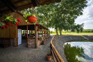 Zahrada ubytování Villa Stipino