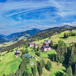 una vista aérea de una casa en una colina verde en Nigglerhof, en Liesing