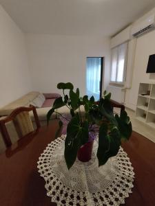 ein Wohnzimmer mit einer Topfpflanze auf dem Tisch in der Unterkunft Da Silvana 