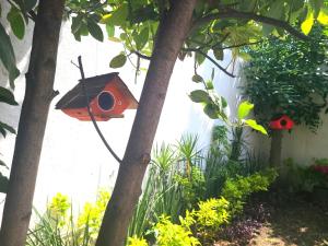 une maison ornithologique suspendue à un arbre dans un jardin dans l'établissement Hermosa casa en Cuernavaca cerca de los mejores restaurantes y plazas, à Cuernavaca