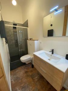 ein Badezimmer mit Waschbecken, Toilette und Spiegel in der Unterkunft Duplex le Corten, Terrasse et jardin in Gérardmer + 18 Fotos