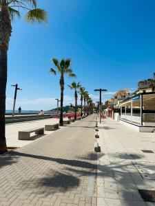un trottoir avec des palmiers et une plage dans l'établissement VARADERO OROPESA DEL MAR, à Oropesa del Mar
