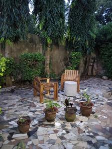un patio avec bancs et plantes en pot sur un sol en pierre dans l'établissement Au cœur de Ouidah, à Ouidah