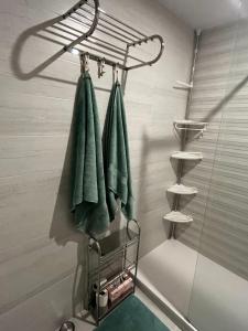 y baño con ducha y toallas verdes. en Villa Salamander en El Verger