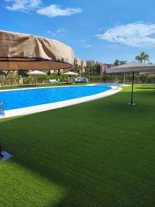 einen Pool mit grünem Rasen und Sonnenschirm in der Unterkunft Magic World Apartamento Lyz y Mar in Oropesa del Mar
