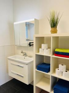 a bathroom with a sink and a shelf with towels at Wohnen an der Vöckla in Vöcklamarkt