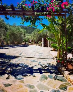 A garden outside Elaion Thea2-Nies