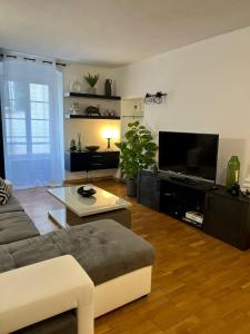 a living room with a couch and a flat screen tv at Charmant Appartement centre-ville in Ajaccio