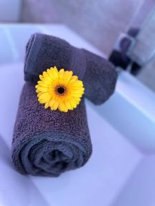 eine gelbe Blume auf einem Handtuch in der Unterkunft Idylisches Ferienhaus in Edewecht