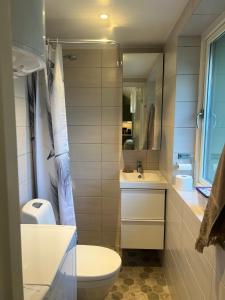 ein Badezimmer mit einem WC, einem Waschbecken und einem Spiegel in der Unterkunft Tinyhouse Tutviksvägen 35B in Vendelsö