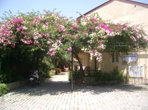 a tree with pink and white flowers in front of a house at Dalyan Pension in Dalyan