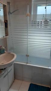 a bathroom with a shower and a tub and a sink at Zu Hause am Bach in Aggsbach