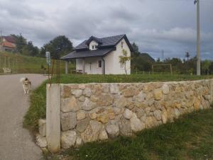 a dog is standing next to a stone wall at Kuća za odmor Jeličić 