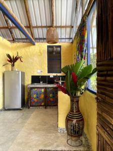 una cocina con nevera y un jarrón con flores. en Posada el Arca Bahia Solano, en Bahía Solano
