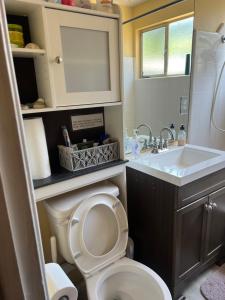 a bathroom with a toilet and a sink at COMFY COZY ROOM ON QUIET CUL-DE-SAC in Los Angeles