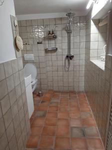 baño con aseo y suelo de baldosa. en Bratrouchovský trpaslík, en Jablonec nad Jizerou