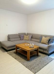 ein Wohnzimmer mit einem Sofa und einem Couchtisch in der Unterkunft Apartment Niela in Dinkelsbühl