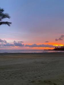einen Sonnenuntergang am Strand mit einer Palme in der Unterkunft Casita Pepe in Jávea