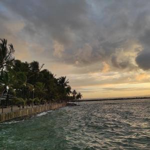 uma vista para uma praia com palmeiras e para o oceano em Lagoa dourada - Ilha de Itaparica - Salvador da Bahia - Club Med em Vera Cruz de Itaparica