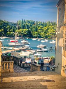 a view of a marina with boats in the water at Apartments Kralj Ana in Cavtat