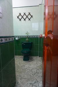 a bathroom with a green toilet and a potted plant at Hostal Castañeda in San José del Guaviare