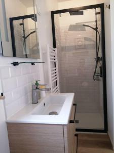 a bathroom with a sink and a shower at Studio Les petites poules in Saint-Lyphard