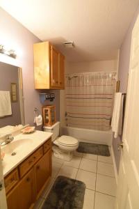 y baño con aseo, lavabo y ducha. en Private-Amazing:3BR/2bath Apt in energy Corridor en Houston