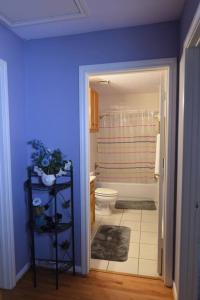 La salle de bains est pourvue de toilettes et d'un mur bleu. dans l'établissement Private-Amazing:3BR/2bath Apt in energy Corridor, à Houston