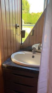 a bathroom with a sink and a mirror at L'Amazone - bateau sur le canal de bourgogne in Tanlay