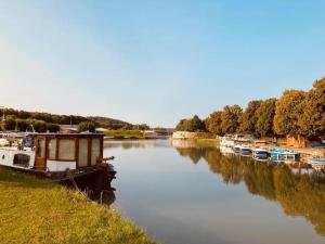 a group of boats are docked on a river at L'Amazone - bateau sur le canal de bourgogne in Tanlay
