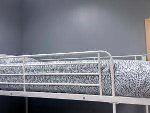 a metal bunk bed with a cheetah print mattress at Hostel Acacias in Madrid